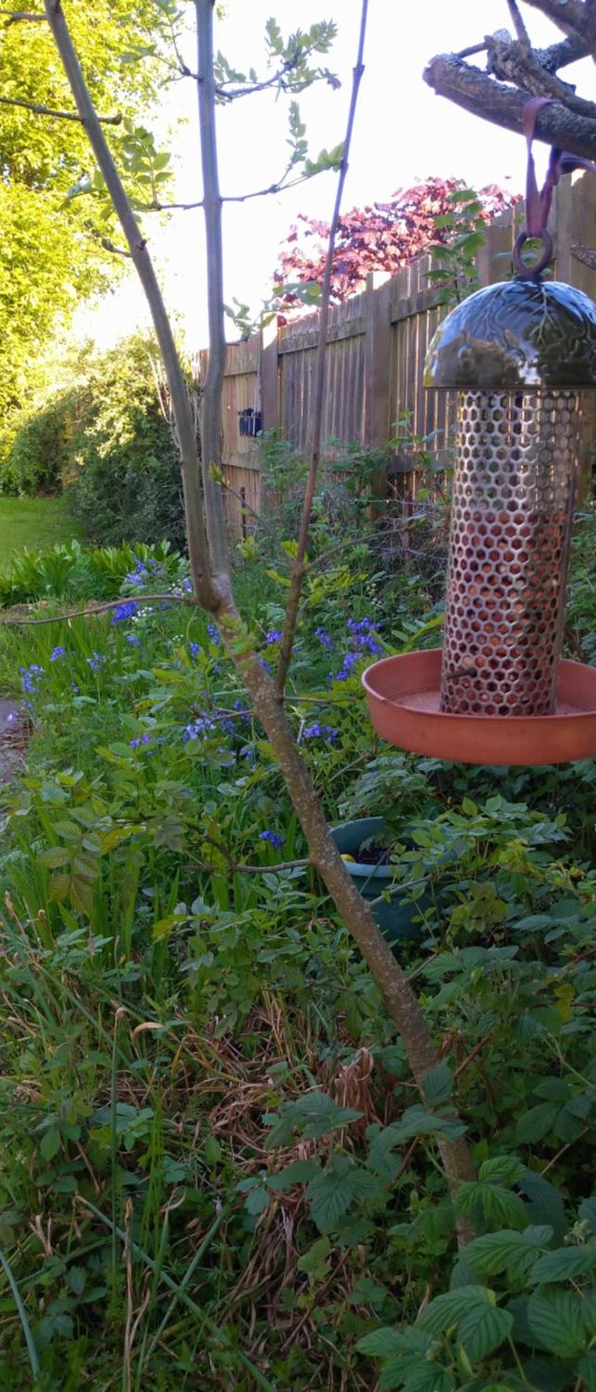 Aquila Retreats Bed & Breakfast Comrie Exterior foto
